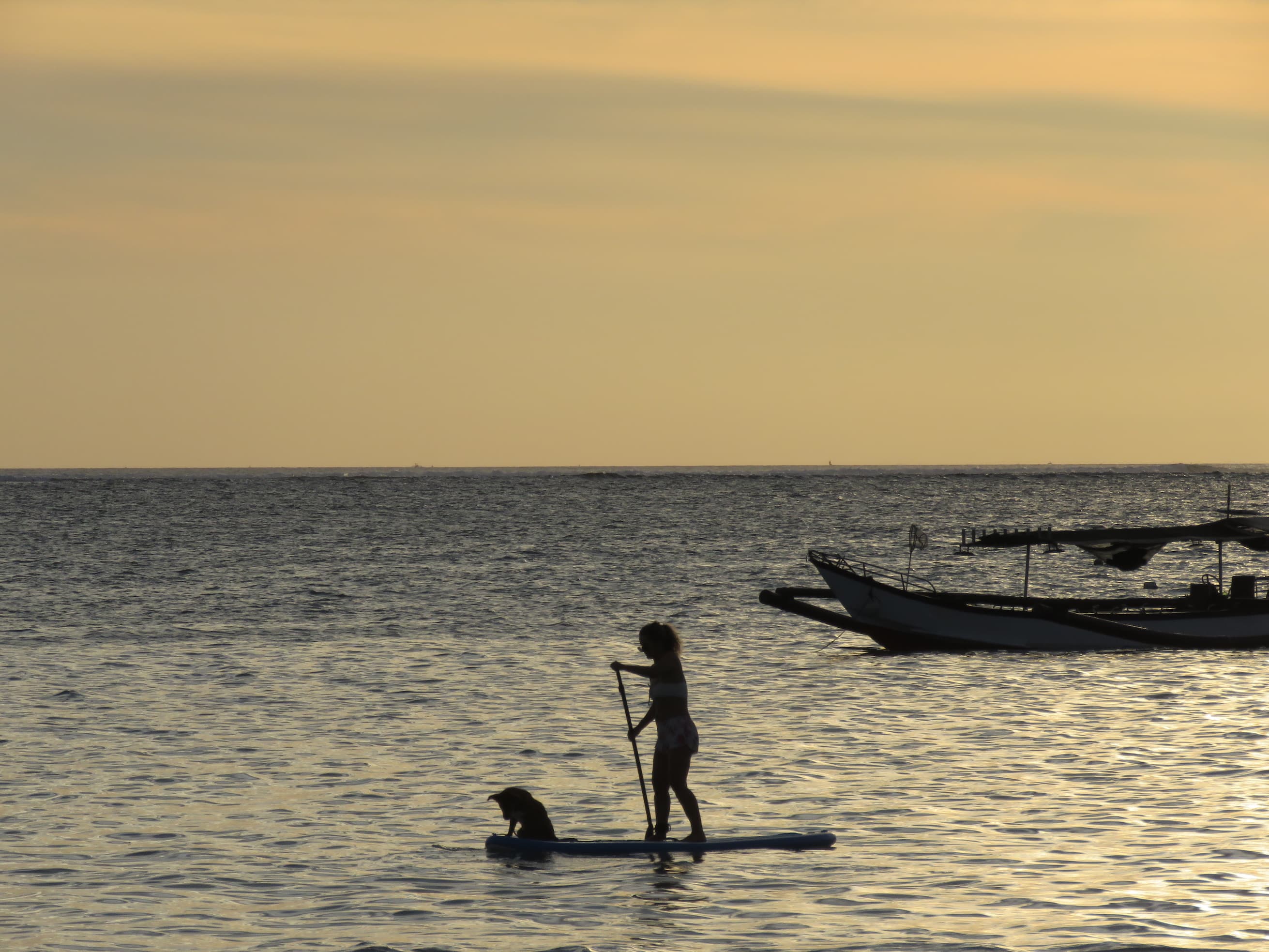 website image