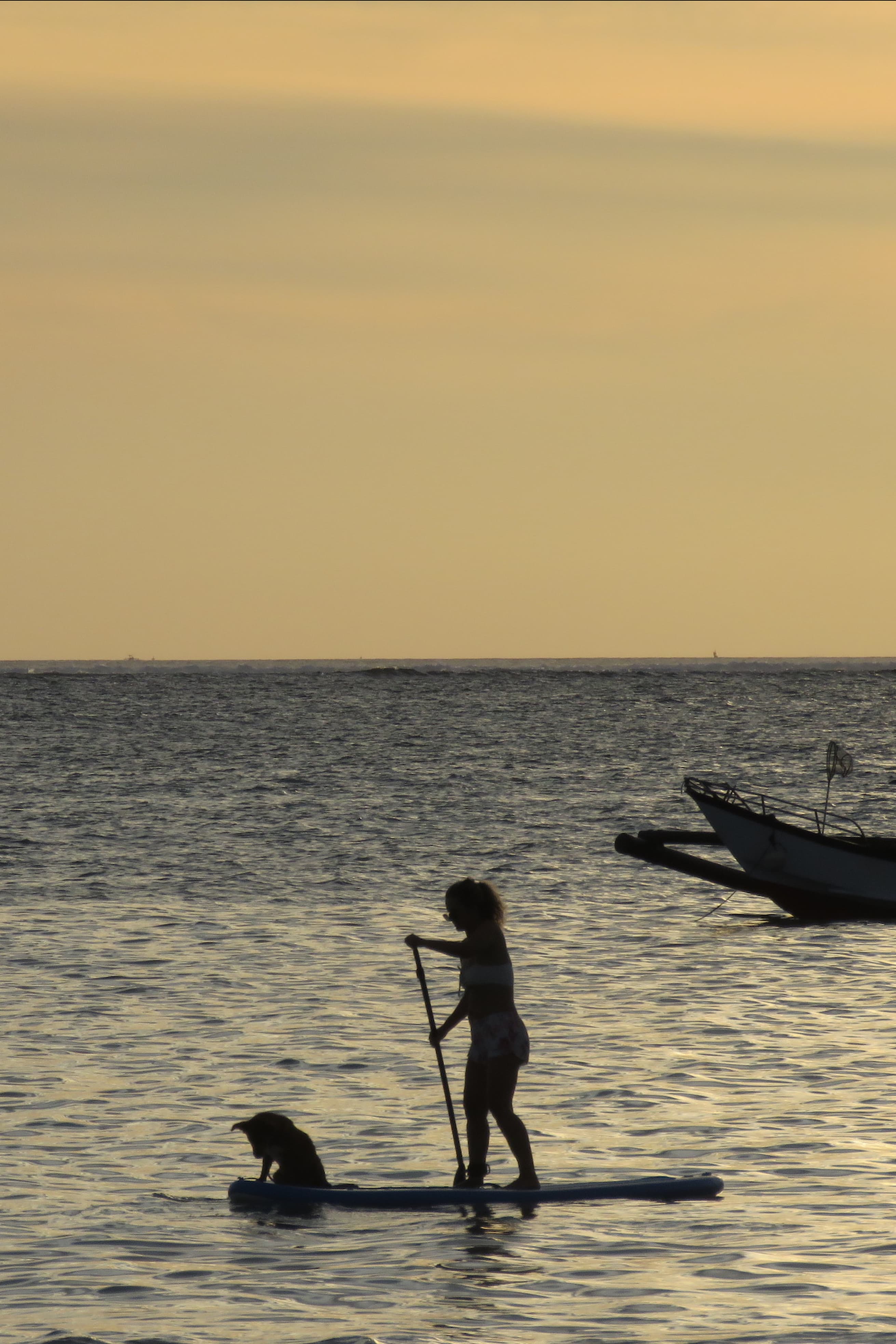 website image